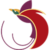 Air Niugini logo