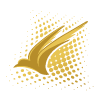 Regent Airways logo